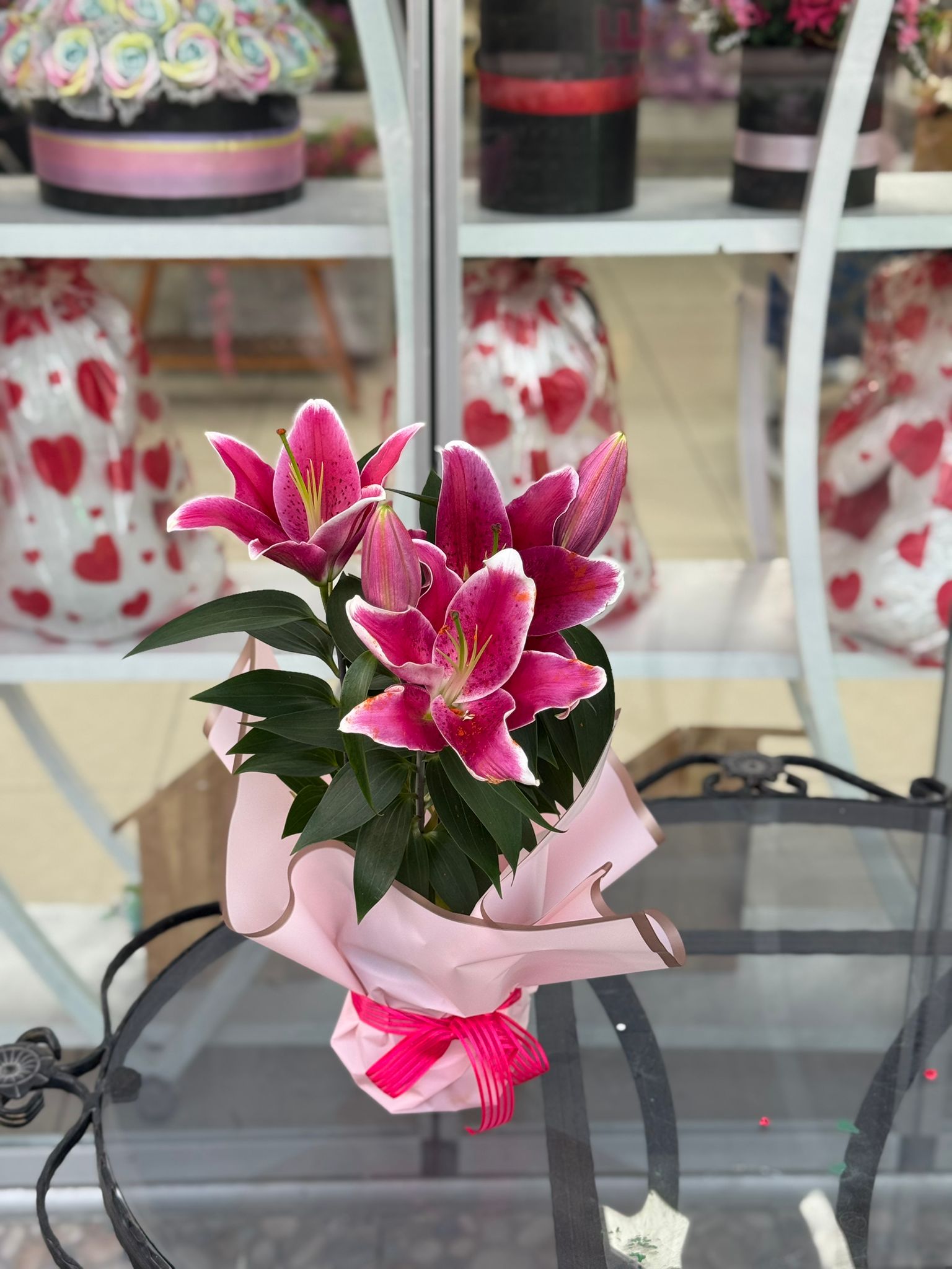 Saksıda Lilyum Saksı Çiçeği